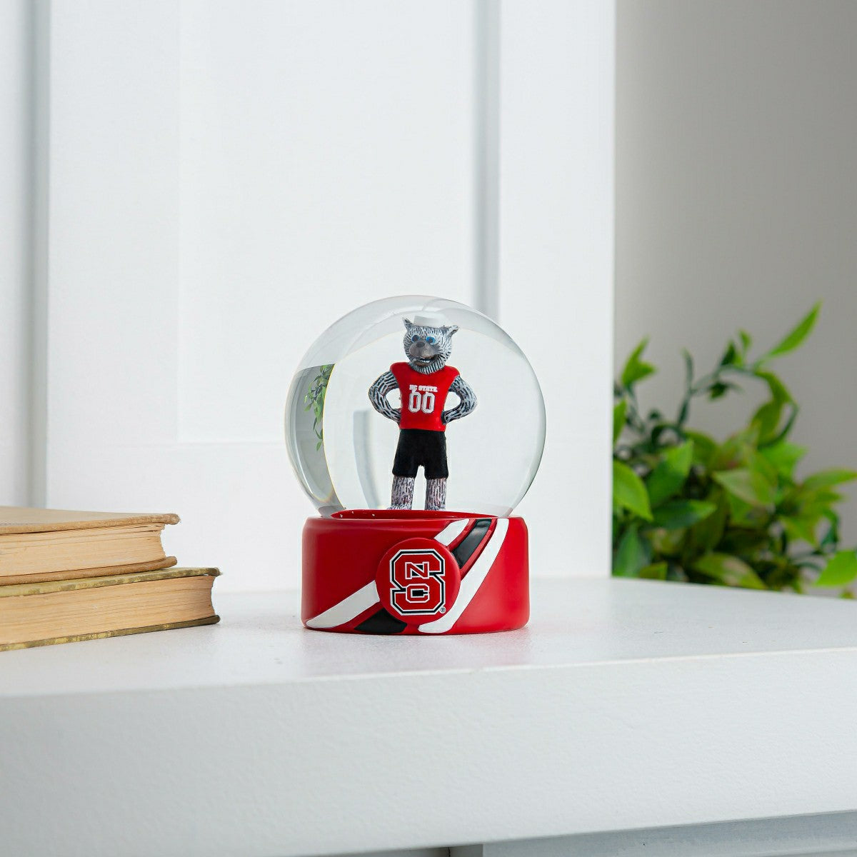 Water Globe, North Carolina State University - Collegiate Home
