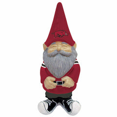 University of Arkansas, Garden Gnome - Collegiate