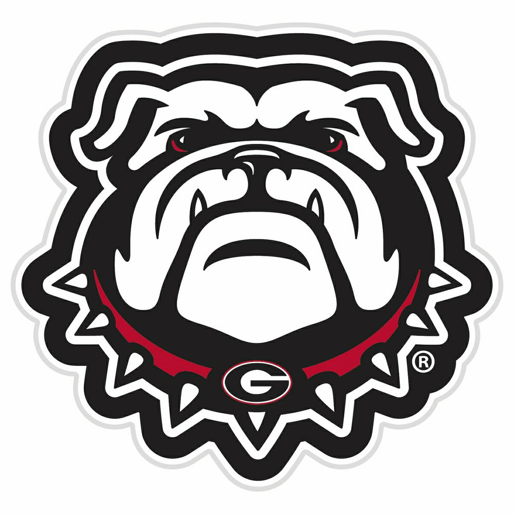 LED Wall Decor, Glazelite, College Mascot, University of Georgia - Collegiate Home