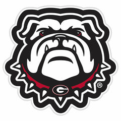 LED Wall Decor, Glazelite, College Mascot, University of Georgia - Collegiate Home