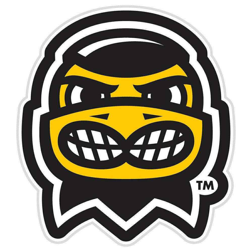 LED Wall Decor, Glazelite, College Mascot, University of Iowa - Collegiate Home