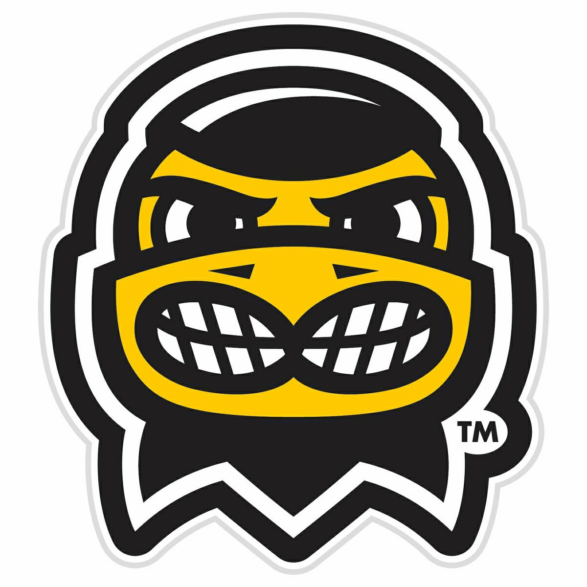LED Wall Decor, Glazelite, College Mascot, University of Iowa - Collegiate Home