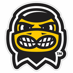 LED Wall Decor, Glazelite, College Mascot, University of Iowa - Collegiate Home