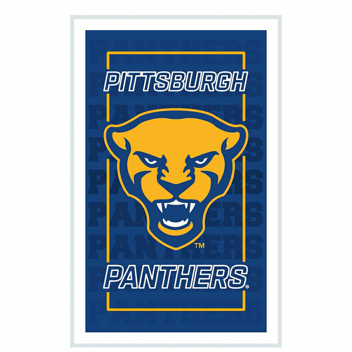 University of Pittsburgh College Rectangle Neolite LED Decor - Collegiate Home