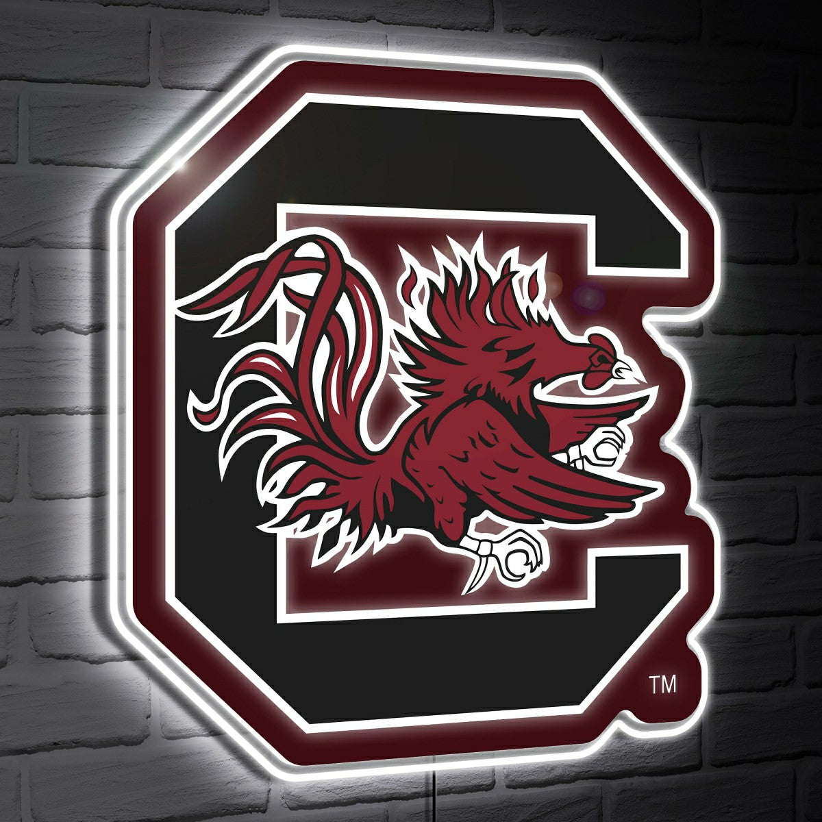 South Carolina LED Wall Decor, Glazelite, Logo - Collegiate Home