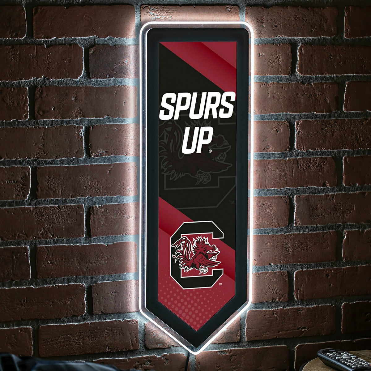 LED Wall Decor, Pennant, University of South Carolina - Collegiate Home