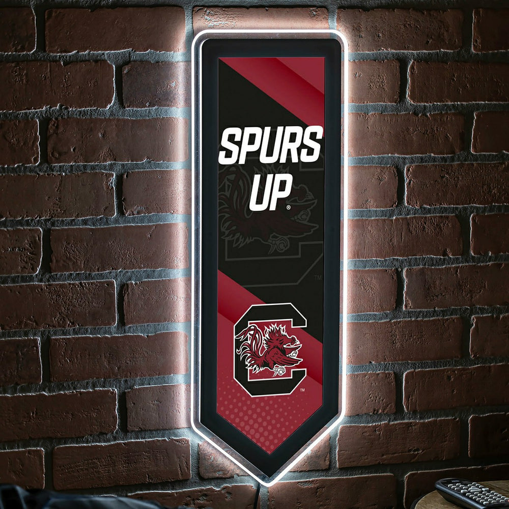 LED Wall Decor, Pennant, University of South Carolina - Collegiate Home