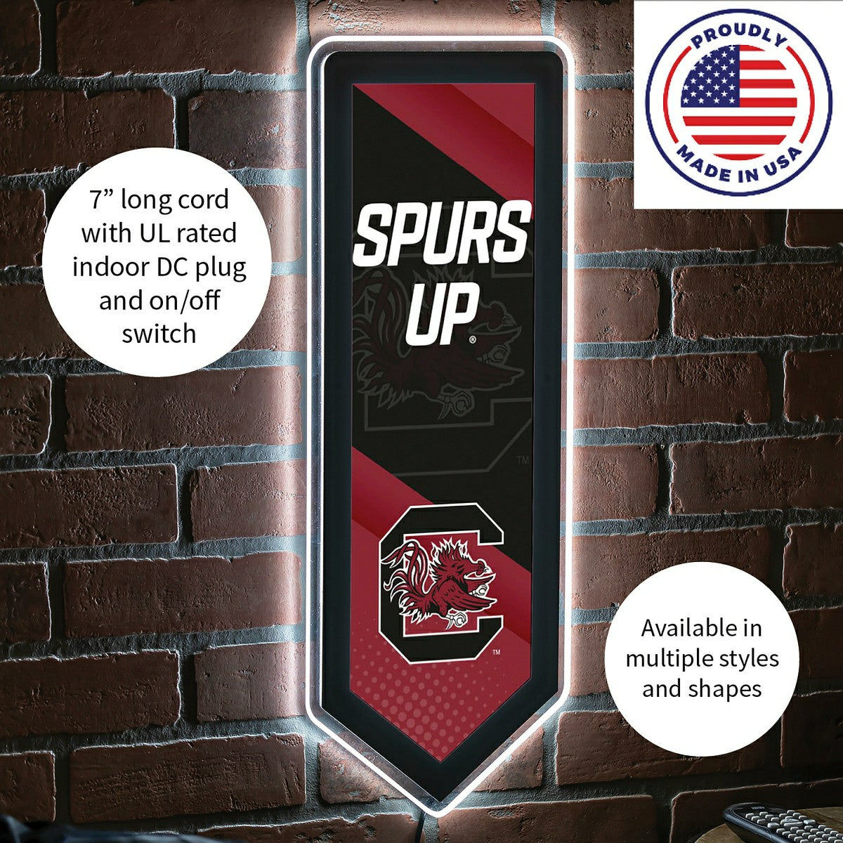 LED Wall Decor, Pennant, University of South Carolina - Collegiate Home