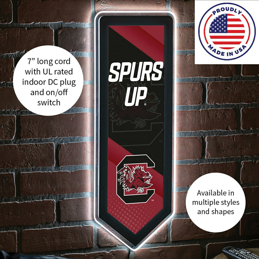 LED Wall Decor, Pennant, University of South Carolina - Collegiate Home