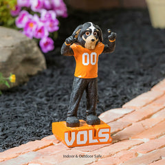 University of Tennessee, Mascot Statue - Collegiate Home