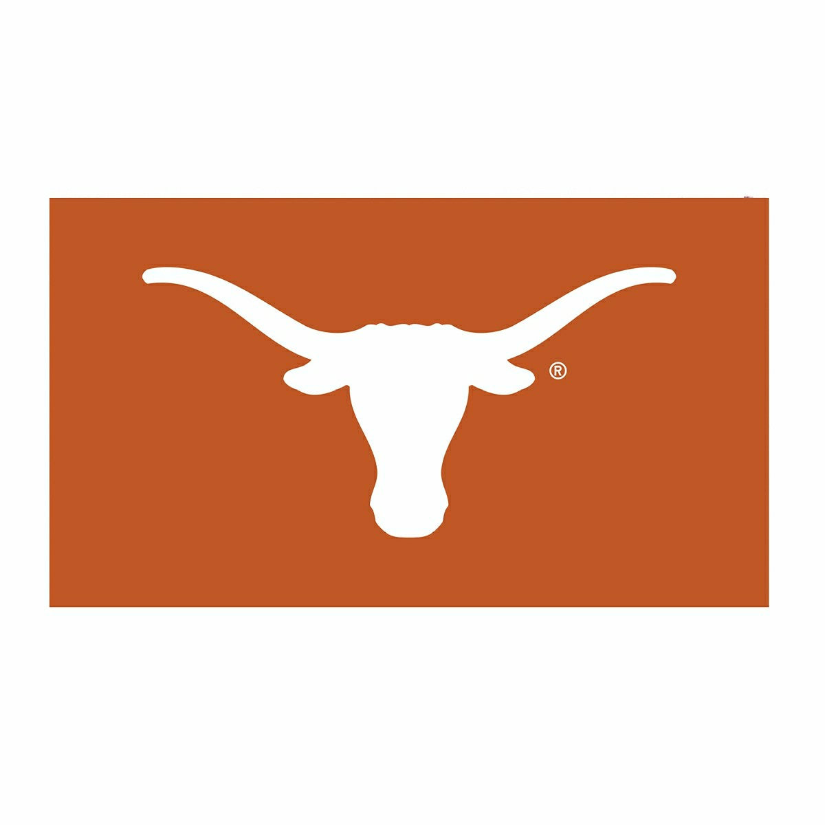 Full Color PVC Mat, 16" x 28", University of Texas - Collegiate