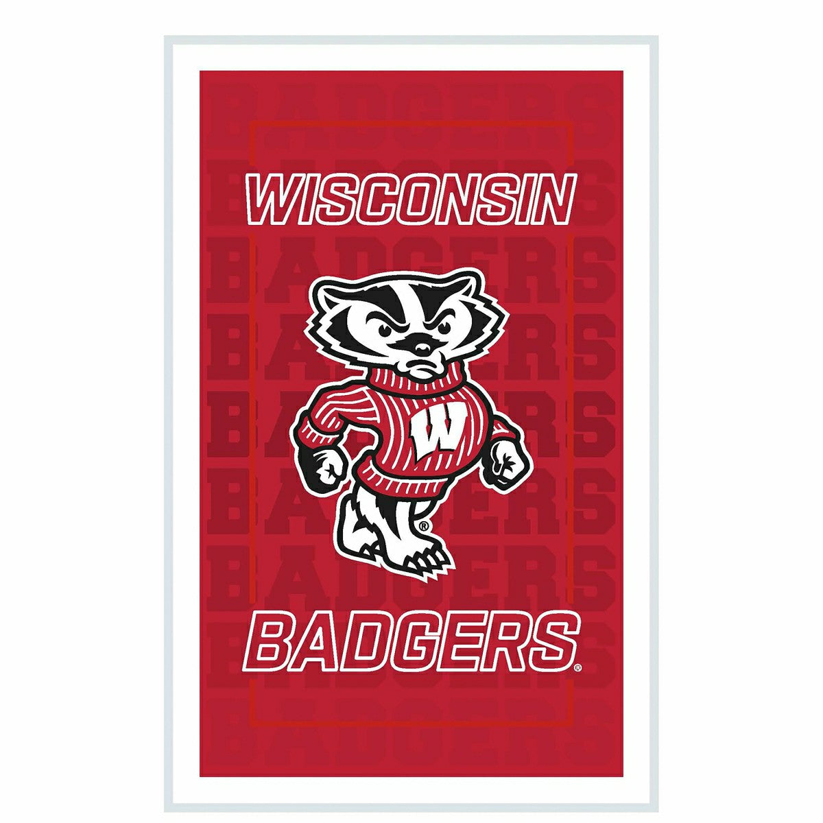 University of Wisconsin-Madison College Rectangle Neolite LED Decor - Collegiate Home