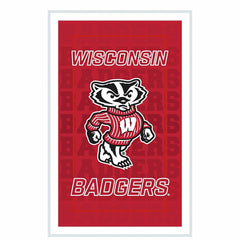 University of Wisconsin-Madison College Rectangle Neolite LED Decor - Collegiate Home
