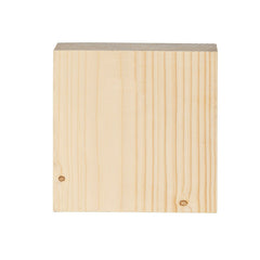 Carolina Hurricanes Plock, Down Home Fans, 6x6 - Home