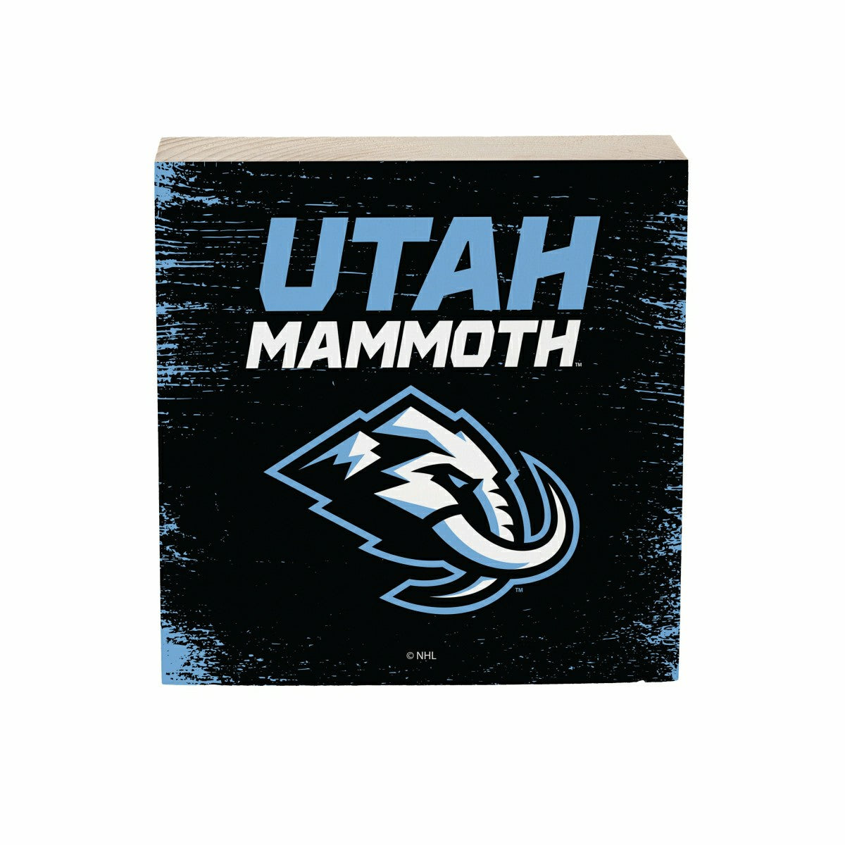 Utah Hockey Club Plock, Down Home Fans, 6x6 - Home